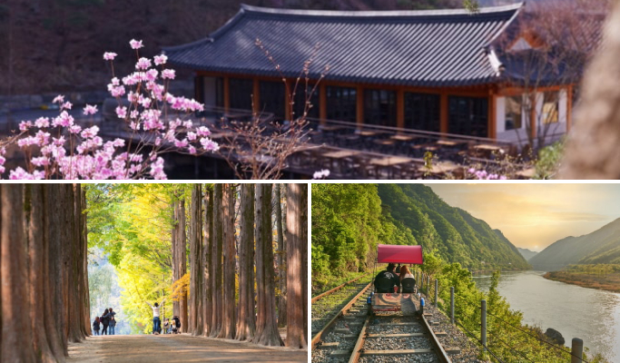 和談植物園+南怡島+江村鐵路自行車1日遊（首爾出發）（3月29日~9月30日）